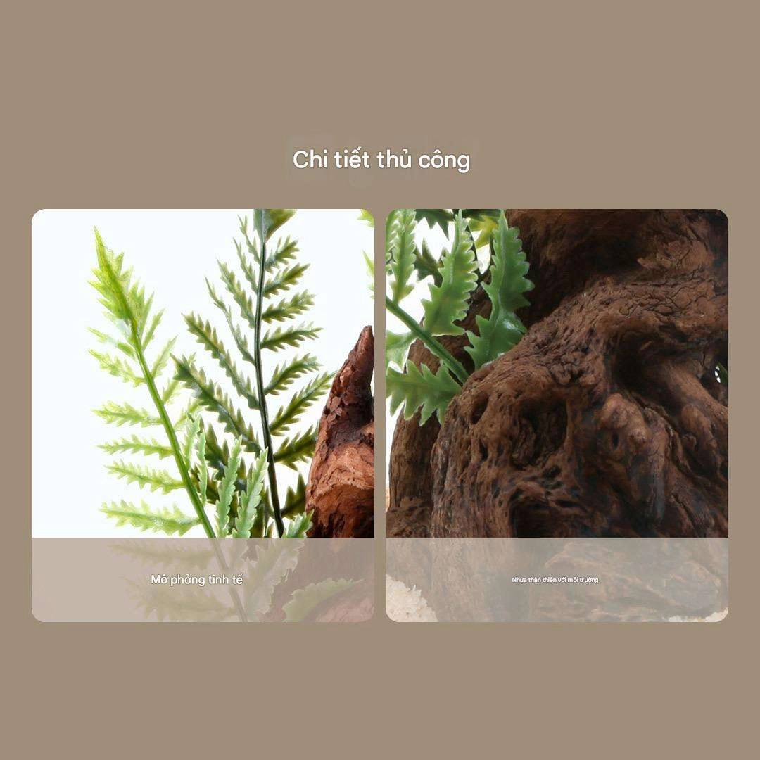 Bộ cảnh quan (tiểu cảnh) dương xỉ và gỗ chìm cho bể cá Xiaomi 20L / 30L (HFZJ200)	